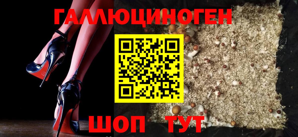 Псилоцибиновые грибы Psilocybine cubensis Кемерово